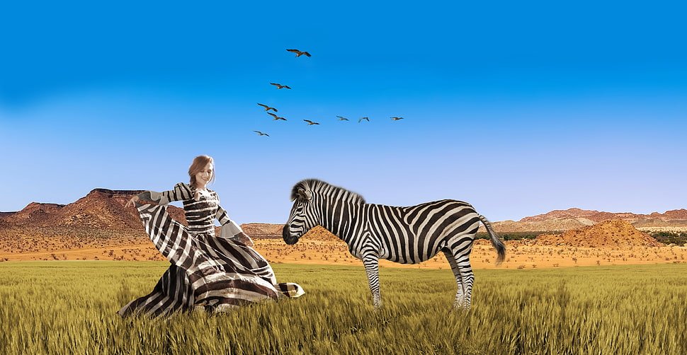 Zebra Print dress