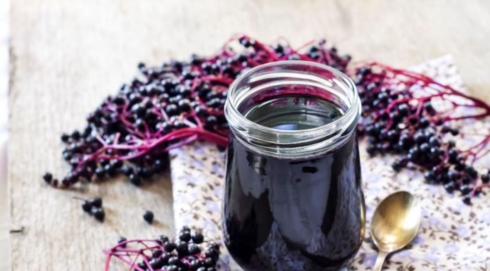 What Is Elderberry? {Top 5 Best Elderberry Supplement} What Is Elderberry