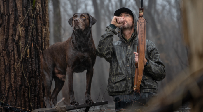 A Quick Guide To Duck Calls duck calls for hunting