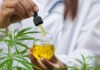 5 Tips for a Stress-Free CBD Oil Products Selection Process Stress-Free CBD Oil Products