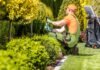 5 Tips for Easier Gardening Maintenance Easier Gardening Maintenance