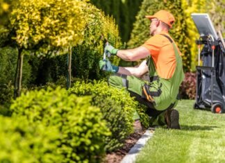 5 Tips for Easier Gardening Maintenance Easier Gardening Maintenance