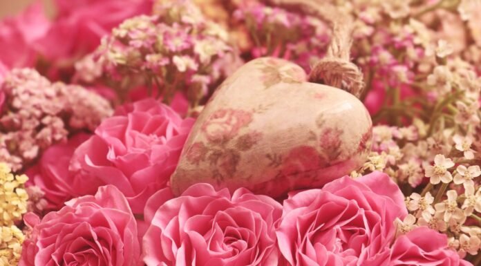 Five Reasons Why Subscription Gifts are a Great Choice Subscription Gifts