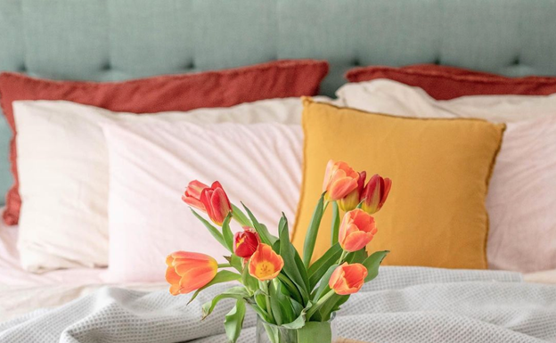 Skylark + Owl Upgrades Sleep with Luxuriously Comfortable Bedding relaxing bedroom for quality sleep