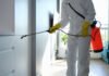 The Benefits of Professional Mold Removal Services in Reston The Benefits of Professional Mold Removal Services in Reston