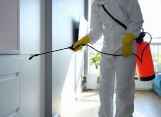 The Benefits of Professional Mold Removal Services in Reston The Benefits of Professional Mold Removal Services in Reston