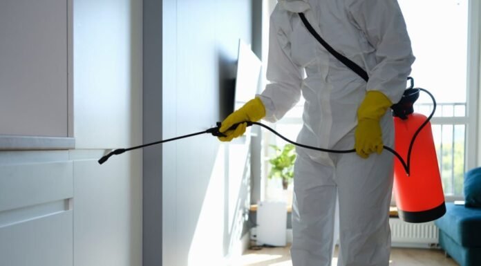 The Benefits of Professional Mold Removal Services in Reston The Benefits of Professional Mold Removal Services in Reston