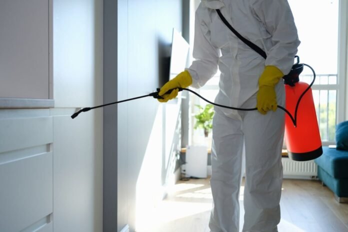 The Benefits of Professional Mold Removal Services in Reston