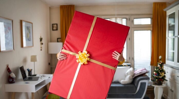 100 Amazing Gift Ideas for Under $30: Perfect for Any Occasion Gift Ideas for Under $30