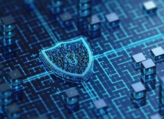 A Security Culture: Top Priorities for CISOs and Their Team Security Culture